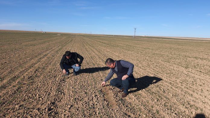 Bildiğiniz kuraklıkları unutun