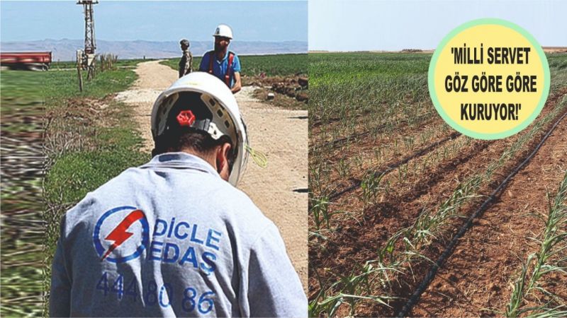 Yok mu DEDAŞ'a müdahale edecek bir babayiğit?