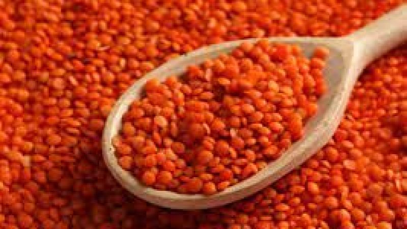 Kırmızı mercimek alım fiyatı değiştirildi