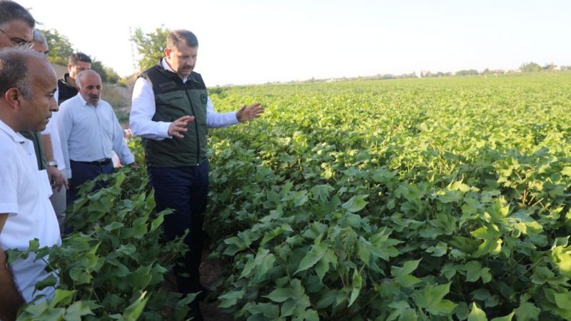 Vali Ayhan, çiftçilere tohum dağıttı