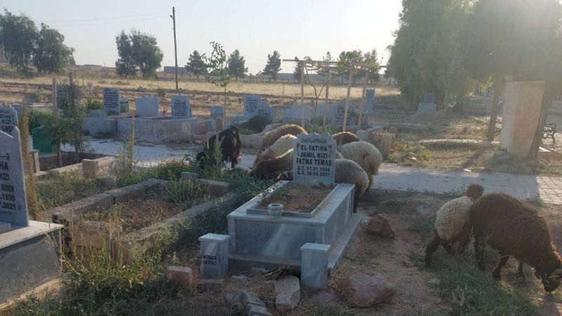 Mezarda bile rahat yok!