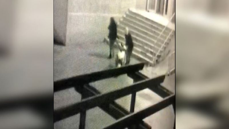 Urfa’da motor hırsızları iş başında