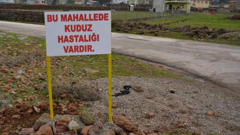 Urfa'da kuduz karantinası