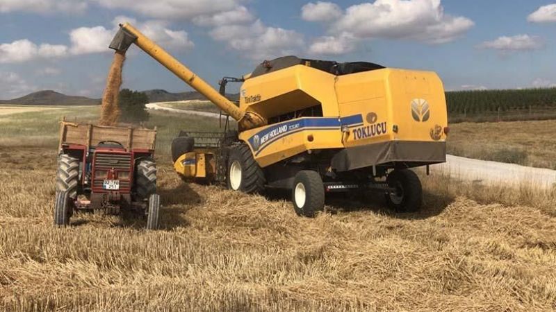 TMO güncelledi, piyasada buğday arpa fiyatları arttı