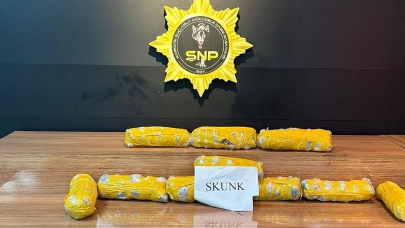 Zehir sevkiyatı Urfa'da son buldu