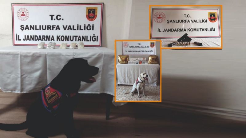 Operasyonlar hız kesmiyor