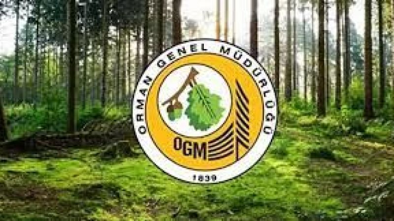 OGM 1128 personel alımı yapacak