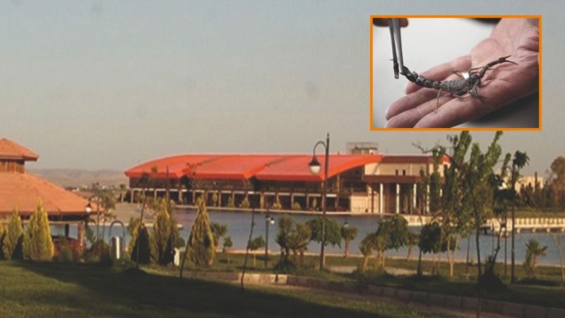 HRÜ'lü akademisyenden kansere umut olacak çalışma