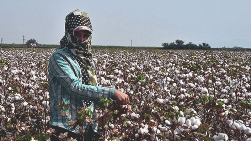 'Bilerek mi fiyat açıklamıyorsunuz?'
