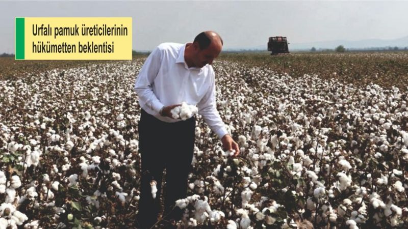 'Pamuk destekleme primi en az 2-3 lira arasında olmalı'