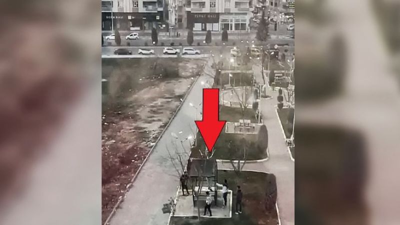 Urfa’da kamelyayı parçalayan şüpheliler yakalandı