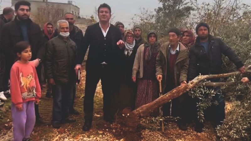 Paydaş'tan zeytin ağacı katliamına suç duyurusu 
