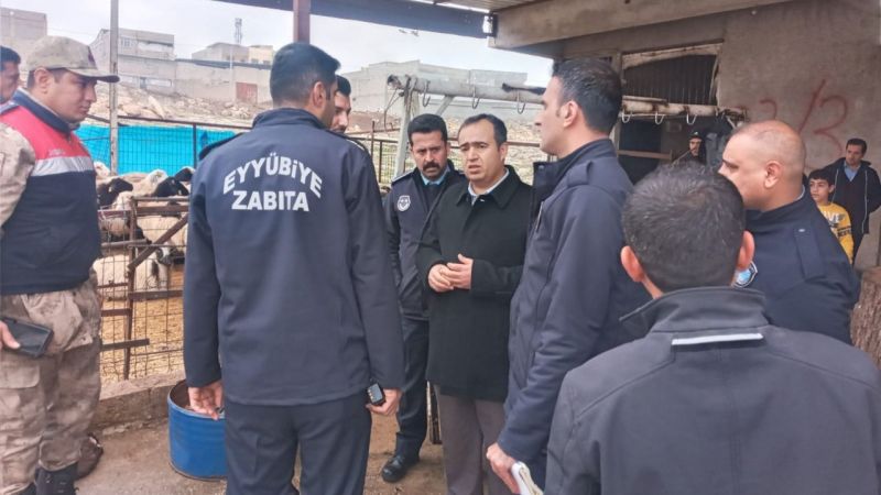 Urfa'da 'Kaçak kesim'e savaş açıldı