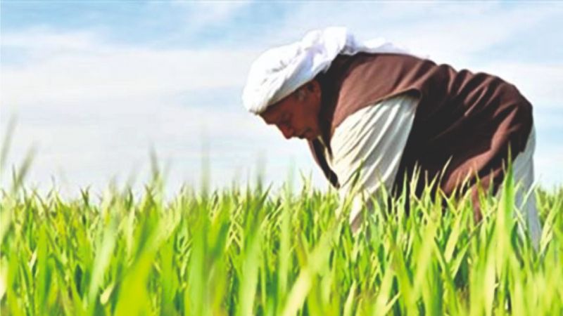Urfa'da 'Planlı Tarım' dönemi başlıyor