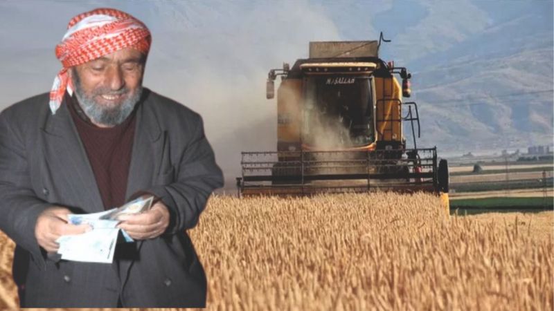 Urfa çiftçisine iyi haber: Destekler 5 ay öne çekildi