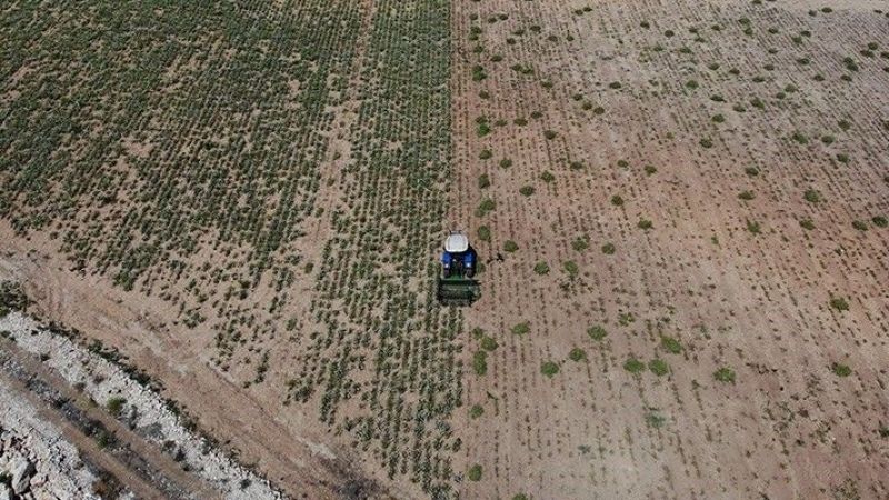 Depremin Sarstığı toprakları kuraklık yıkabilir.