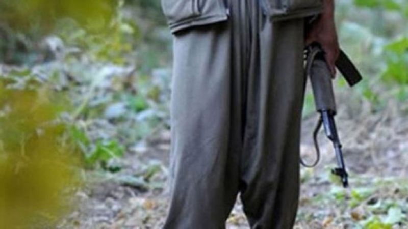 Urfa sınırında bir terörist yakalandı