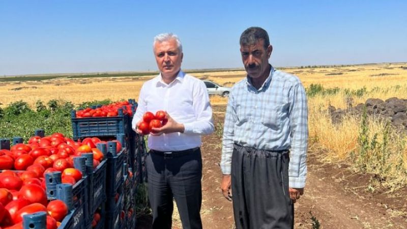 Eski Vekil sordu, sorumluluk almadı!