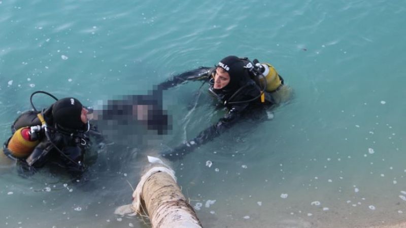 Urfa’da otomobil sulama kanalına uçtu: Ölüler var ...