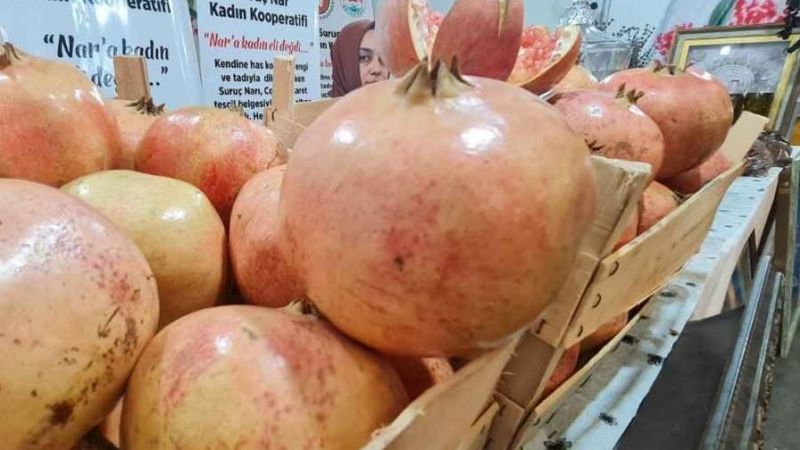 Suruç Narı ile ilgili sıcak gelişme …