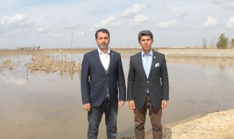 Suruç'ta taban suyu ve sıvılaşma tehlikesi 