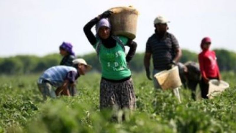 TZOB’dan deprem bölgesi uyarısı: Gıda fiyatlarını artırır