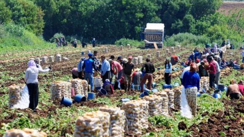 Üretici enflasyonu yüzde 71,5 oldu!