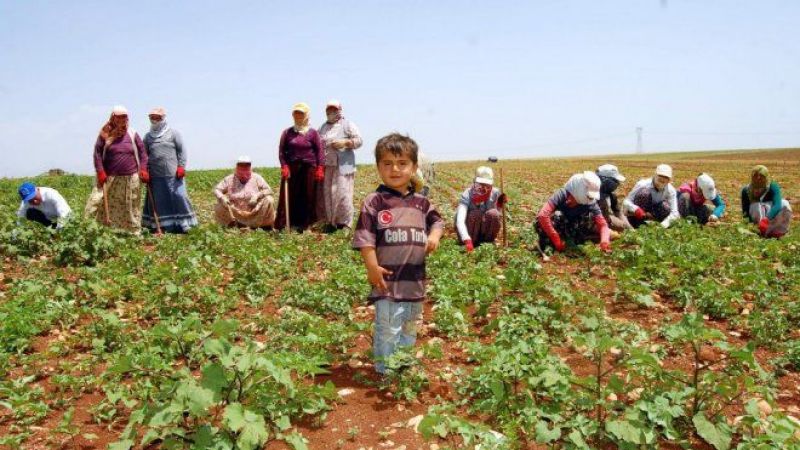 Tarımsal girdi fiyat endeksinde yıllık artış yüzde 117
