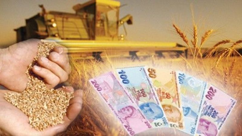 Bakan açıkladı: Bugün hesaplara yatıyor