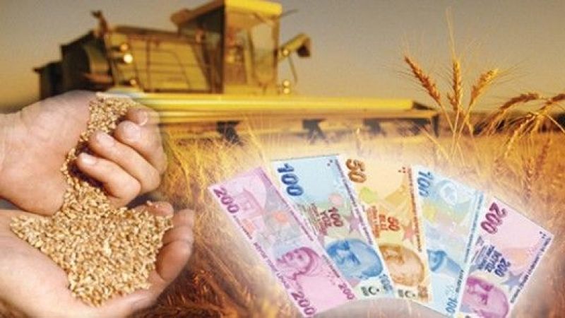 Tarım Kredi Kooperatiflerinde nakit kredi limitleri düşürüldü!