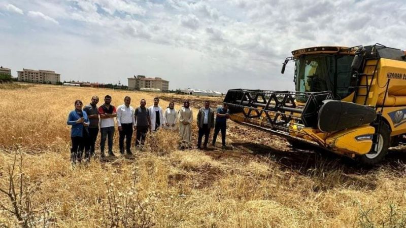  Lise öğrencileri çiftçi olunca yüksek rekolte elde ettiler