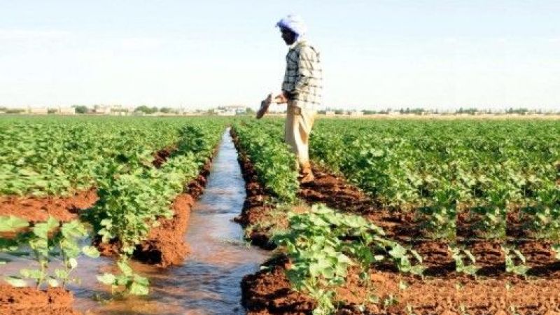 Bu karar Urfa çiftçisini de yakından ilgilendiriyor