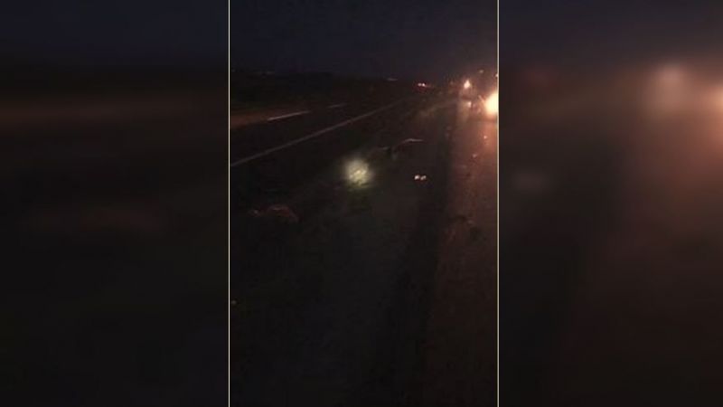 Urfa'da otomobil koyun sürüsünün arasına daldı !