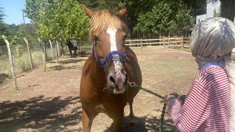 Urfa'da özel bireylere atlı terapi