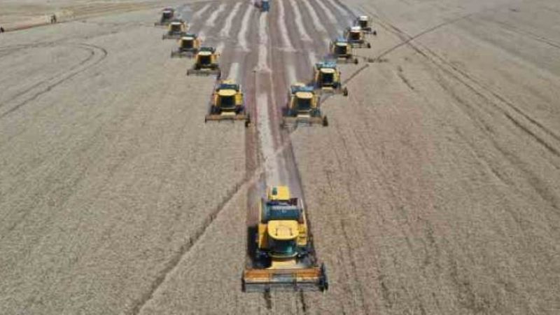 TİGEM’de 240 biçerle hasada başlandı