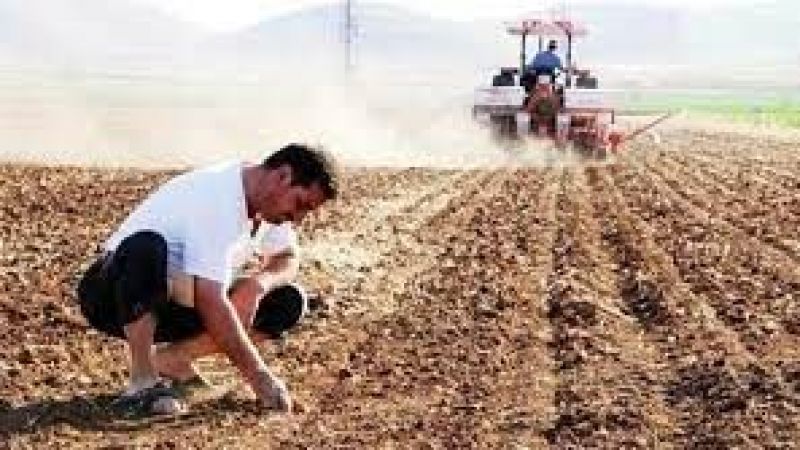 TİGEM’den yüzde 40 faizle vadeli tohumluk satışı! 