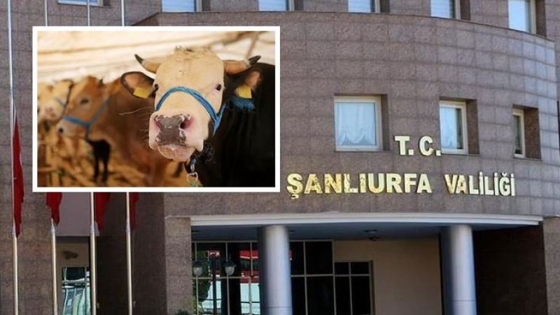 Bakanlıktan Urfa Valiliği’ne ‘Kurban’ genelgesi