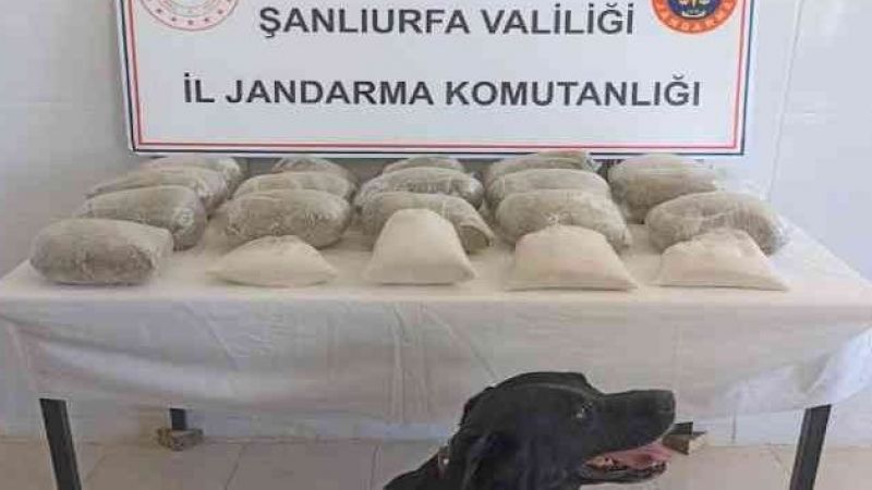 Jandarmadan zehir tacirlerine bir darbe daha 