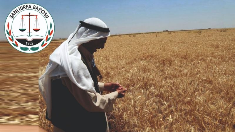 'Bu işlem ivedilikle kaldırılmalı'