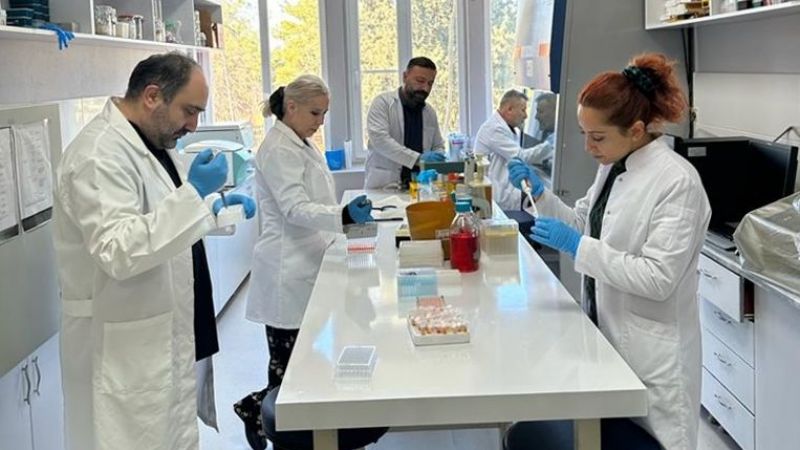 Urfa'da 'Brucella'ya darbe vuracak çalışma