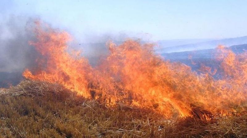 Hasat edilecek tarla yangın ile birlikte kül oldu