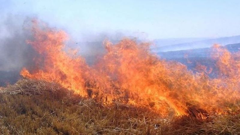 Urfa’da buğday ekili tarla yandı: 2 yaralı