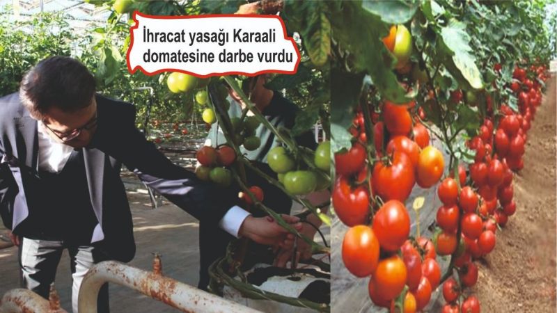 Yanmaz isyan etti: Tesisinizi kapatın mı demek istiyorsunuz?