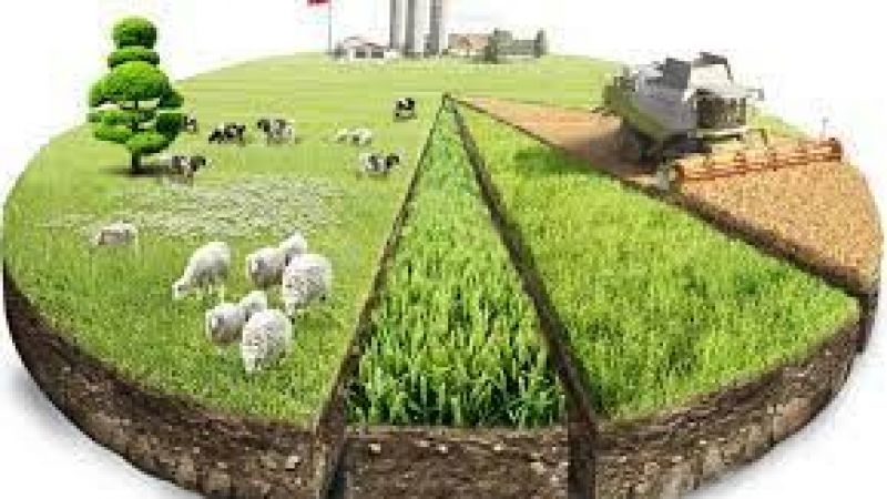 Desteklerden daha fazla proje yararlanacak