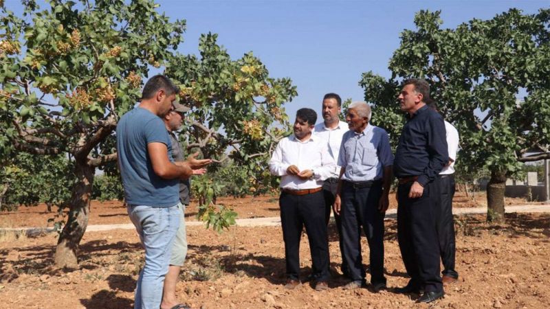 'Yeşil altın' hakkettiği değeri bulmuyor