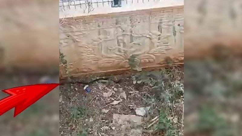 Sıcak havalarla birlikte yılanlar ortaya çıktı