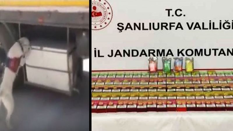 Durdurulan TIR’da uyuşturucu ve sigara ele geçirildi