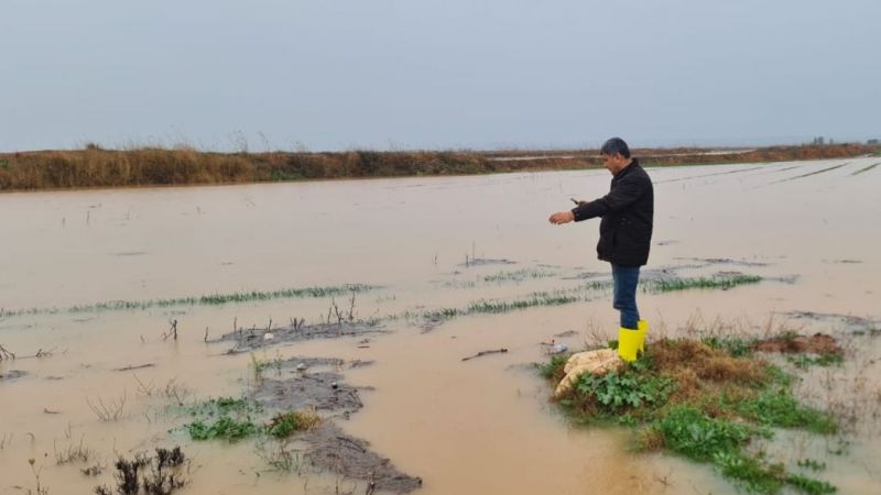 Bayraktar açıkladı: Urfa'da üreticinin zararı büyük