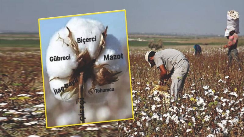 Herkes alacağını alır, çiftçiye sapı kalır!