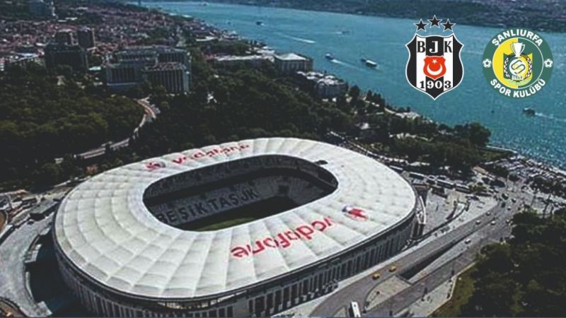 Ceylanlar tam kadro. Beşiktaş karma 